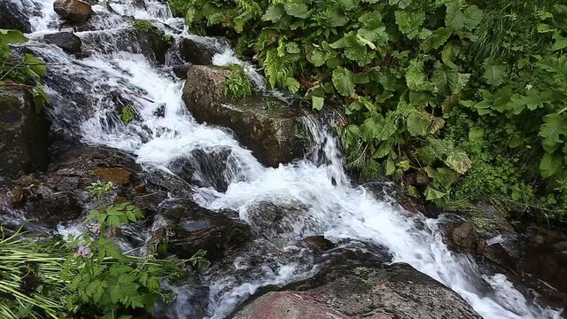 Water stream flow among stones. Clear water quickly fall downhill flowing around dark wet stones. Close-up of waterfall pouring down black rocks. Beautiful mountain waterfall background