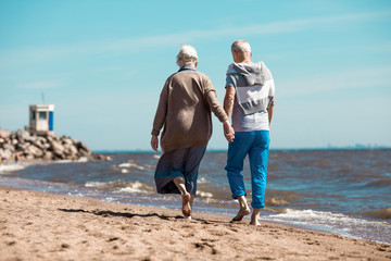 Back view of affectionate senior couple holding by hands while walking down sandy beach along...