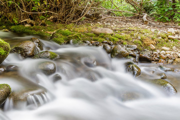 Fantasy Forest - Mountain Stream