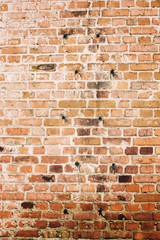 Old brick wall, background and texture.
