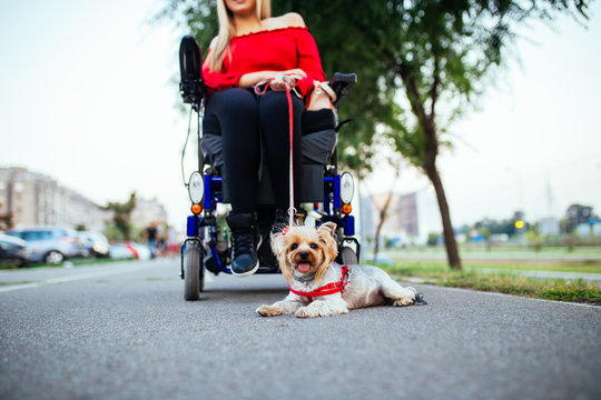 Beautiful young woman on a wheelchair enjoying outdoors with her dog.