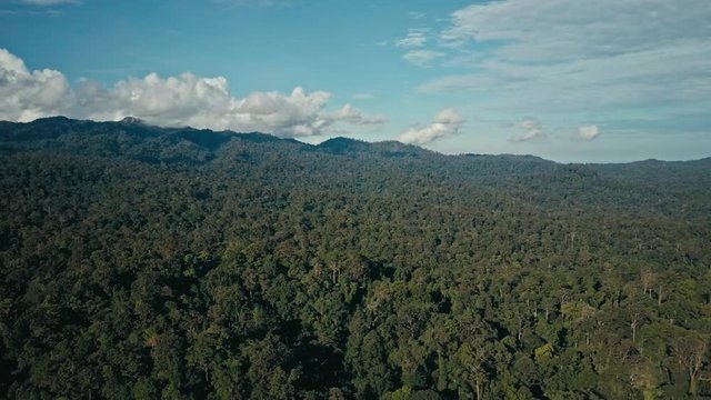 Aerial drone footage of the rainforest at Sabah, Borneo, Malaysia