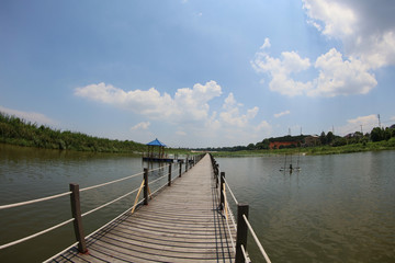 Obraz premium Chinese lotus pond