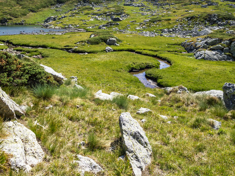 View to a beautiful meander of the stream flowing into the Lake Upper Chanak in Rila Mountains, Bulgaria on a hot sunny August day