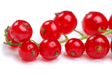 Red currant on white