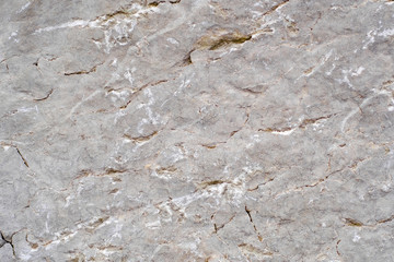 Background with the image of stone