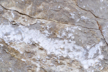 Background with the image of stone