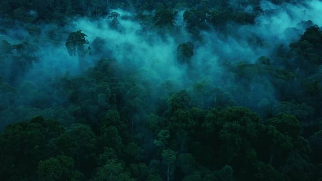 Aerial drone footage of the rainforest at Sabah, Borneo, Malaysia