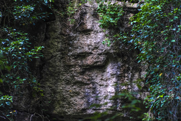 Background with the image of stone