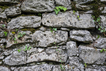 Background with the image of stone