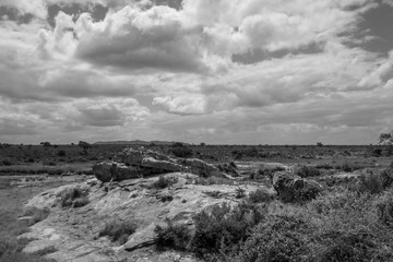 Landschaft, Limpopo, Südafrika, Afrika