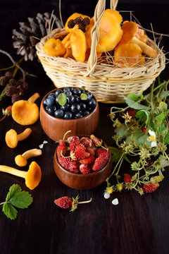 Strawberries, blueberries and chanterelles. Freshly picked forest berries and mushrooms