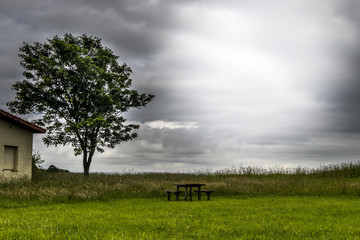 Merendero en soledad con un arbol y una casa