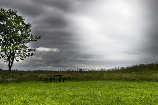 Merendero solitario con arbol 