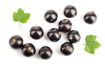 black currant with leaf isolated on white background. Top view. Flat lay pattern