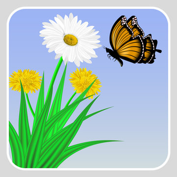 Vector image of realistic flowers of chamomile and dandelion in grass and butterflies flying in the sky.