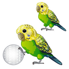 Wavy green parrot or budgerigar isolated on white background. Tropical domesticated bird rolls the ball. Animated vector illustration.