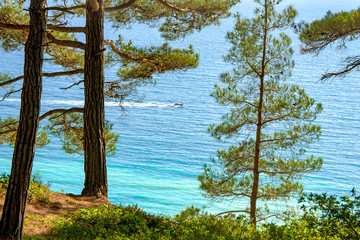 in the distance floating boat