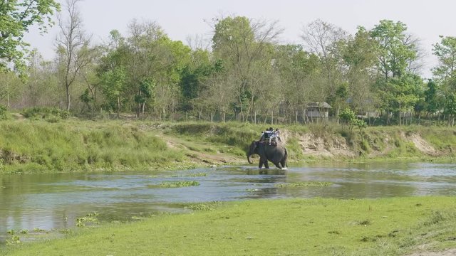 Elephant safari with tourists in jungle, national park in Chaitwan, Nepal.