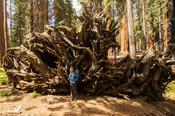 Mother with infant visit Sequoia national park in California, USA