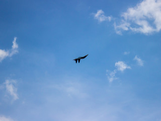 jet fighter in the blue sky air show