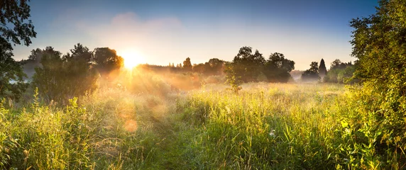 Foto op Plexiglas landschapspanorama met zonsopgang en bos en weide © yanikap