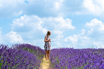 Young woman in standing in a lavender field in summer