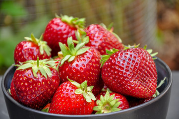 close up of red strawberry blur background 