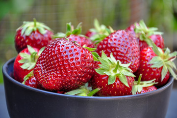 close up of red strawberry isolated background 