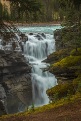 Fototapeta na wymiar Athabasca Falls in Jasper National Park, Alberta, Canada 