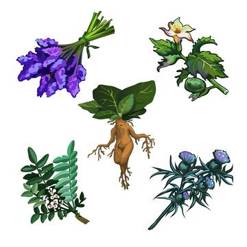Premium Vector  Illustration of cute cartoon blue mandrake root in flower  pot