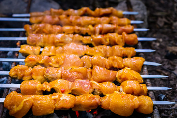 Grilled kebab cooking on metal skewer closeup. Roasted meat cooked at barbecue. BBQ fresh beef meat chop slices. Traditional eastern dish shish kebab. Grill on charcoal and flame picnic street food
