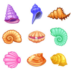 Colorful tropical shells underwater icon set frame of sea shells, cartoon style. Vector illustration.