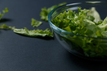 fresh lettuce leaves in glass plate on dark background. Cooking recipe menu restaurant, Horizontal hi resolution photo with black background and text area.