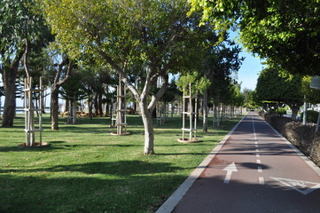 The beautiful Limassol Molos in Cyprus