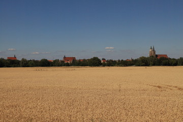 Fototapeta premium Sommer im Fläming; Blick von Süden auf Jüterbog
