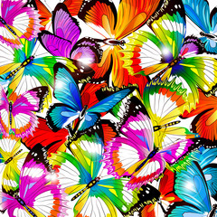 Naklejki  piękne kolorowe motyle, zestaw, na białym tle