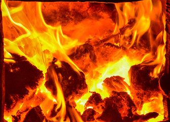 Fototapeta premium Flame of the Fire