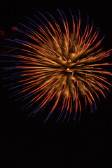 Fireworks Blue and Gold