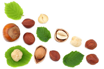 hazelnuts with leaves isolated on white background. top view