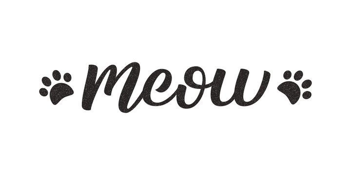 Vector isolated handwritten lettering Meow logo with grunge texture for decoration and covering on the white background. Concept of cat quote and pet shop.