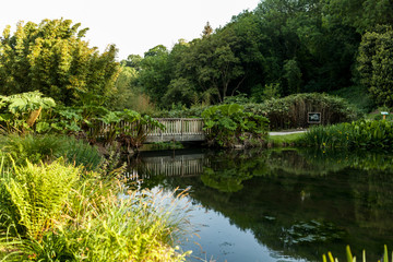 Fototapeta na wymiar Botanical Garden Le Vallon du Stang Alar Brest France 27 may 2018 - small lake and bridge Summer season