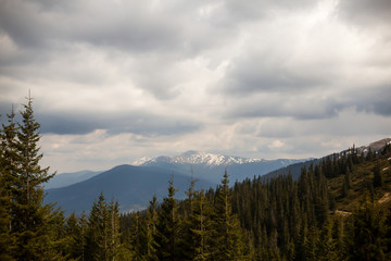 landscape in mountains Carpathians Ukraine