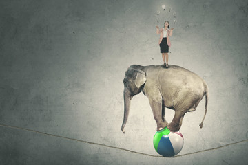 Female entrepreneur with lamps and an elephant