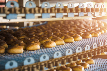 Cakes on automatic conveyor belt or line, process of baking in confectionery culinary factory or...