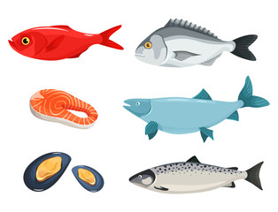 A set of seafood, a different kind of fish, salmon, mussels, dorado. Vector illustration of a cartoon style is isolated on a white background.