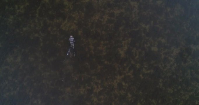 Diver in the sea, C4K aerial descending view above a spearfisher hunting and diving in shallow and low waters of the baltic sea, on a sunny summer evening dusk, in Hanko, Finland