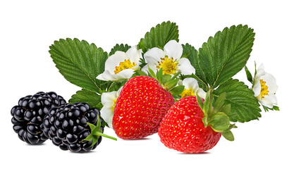 Strawberry and blackberries isolated on white background