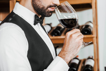 Cropped shot of sommelier examining aroma of wine from glass at wine store
