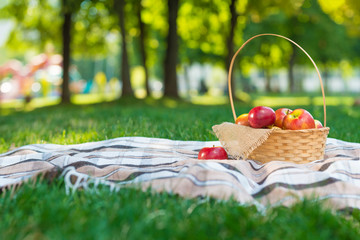 Checkered Plaid Picnic Apples Basket Fruit Green Grass Summer Time Rest Background Design Web...